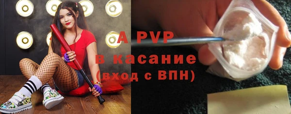 амф Беломорск