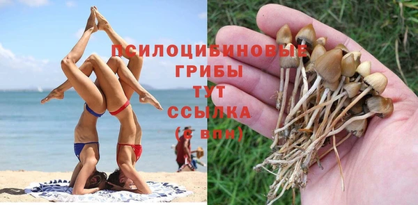 дмт Белокуриха