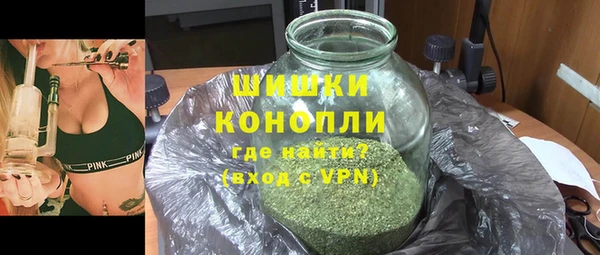 дмт Белокуриха