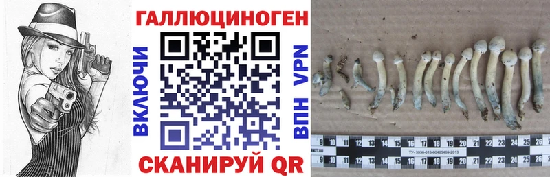 Псилоцибиновые грибы ЛСД  продажа наркотиков  Щигры 
